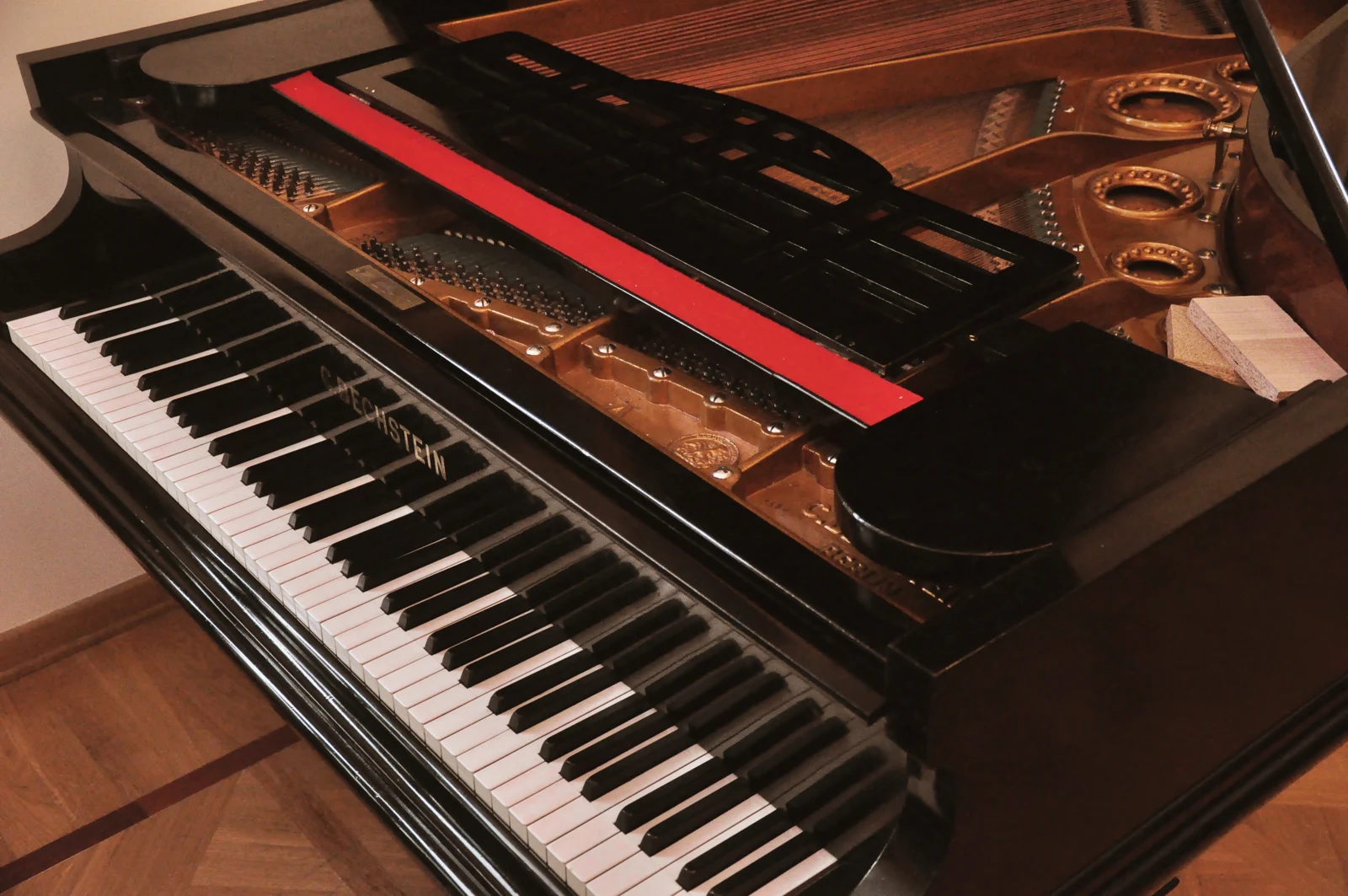 Ảnh chụp thật bàn phím và bộ dây đàn piano grand